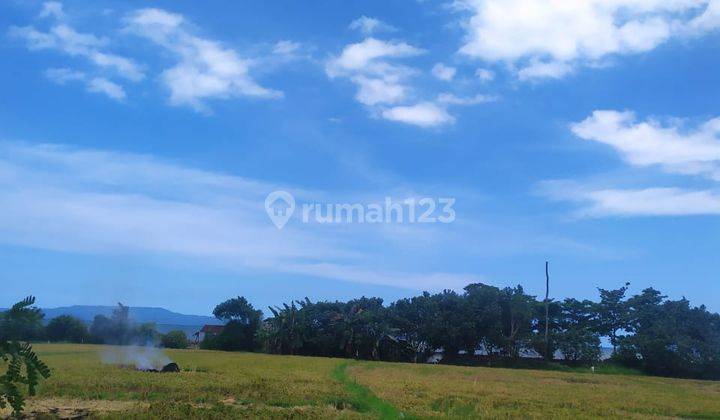 The cheapest beach land in Gianyar close to Denpasar and Gianyar city 2