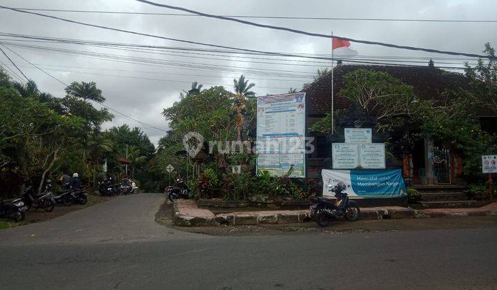 Tanah view sawah cantik super murah di klungkung 3