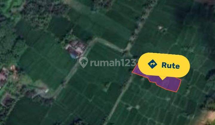 Tanah view sawah cantik super murah di klungkung 5