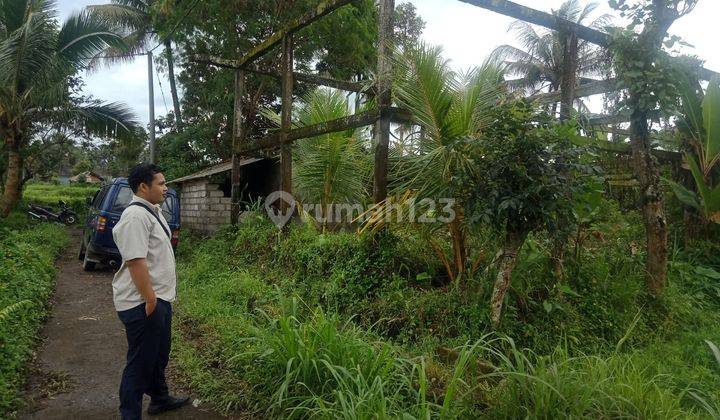 Tanah view sawah cantik super murah di klungkung 8