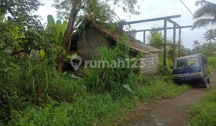 Tanah view sawah cantik super murah di klungkung 10