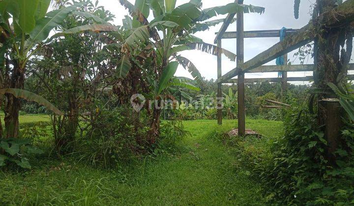 Tanah view sawah cantik super murah di klungkung 12