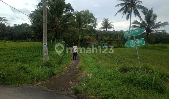 Tanah view sawah cantik super murah di klungkung 11