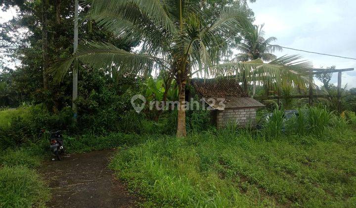Tanah view sawah cantik super murah di klungkung 15