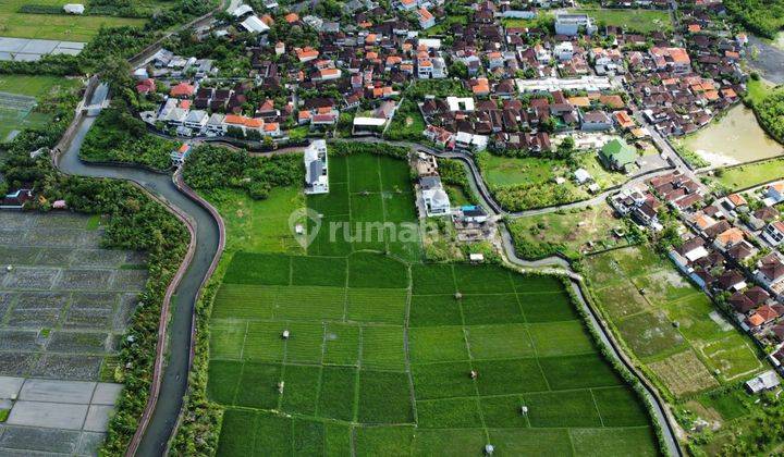 CHEAP RIVER FIELD VIEW LAND IN SEMINYAK AREA 2