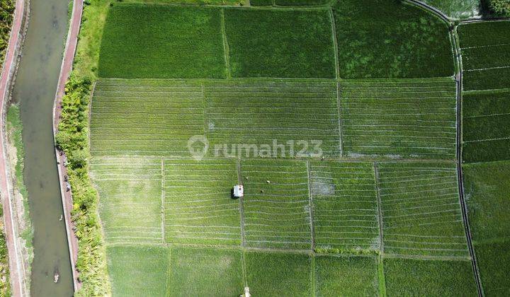 TANAH VIEW SAWAH SUNGAI MURAH DI SEMINYAK AREA 3