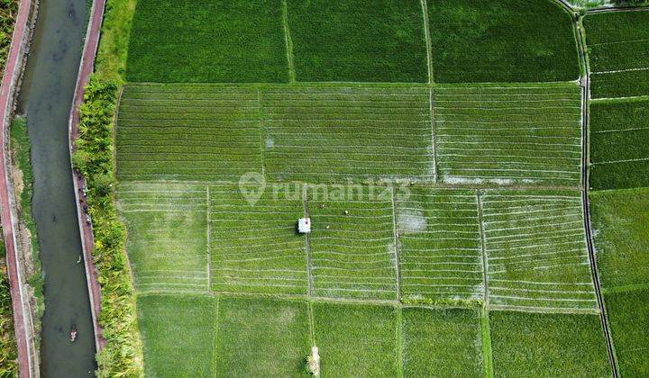 TANAH VIEW SAWAH SUNGAI MURAH DI SEMINYAK AREA 7