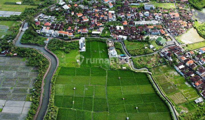 TANAH VIEW SAWAH SUNGAI MURAH DI SEMINYAK AREA 15