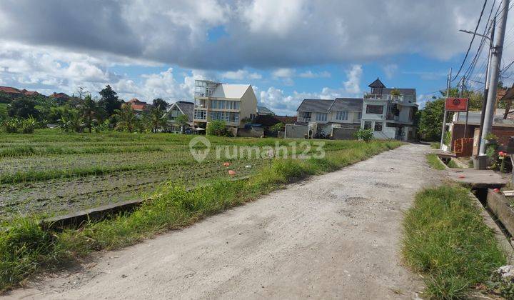 BEAUTIFUL RICEFIELD VIEW PLOT LAND IN THE DIRECTION OF BERAWA BEACH 1