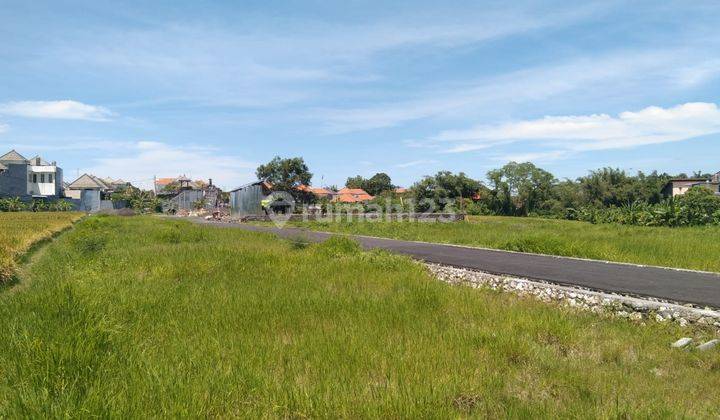 TANAH KAVLING ASPEK PERUMAHAN DI DENPASAR TIMUR 10