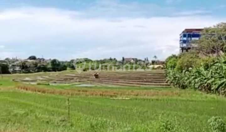 TANAH TERMURAH DI UMALAS BUMBAK VIEW SAWAH COCOK VILLA 1