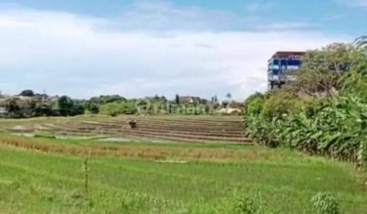 TANAH TERMURAH DI UMALAS BUMBAK VIEW SAWAH COCOK VILLA 4