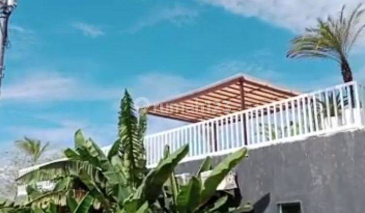 TANAH TERMURAH DI UMALAS BUMBAK VIEW SAWAH COCOK VILLA 7