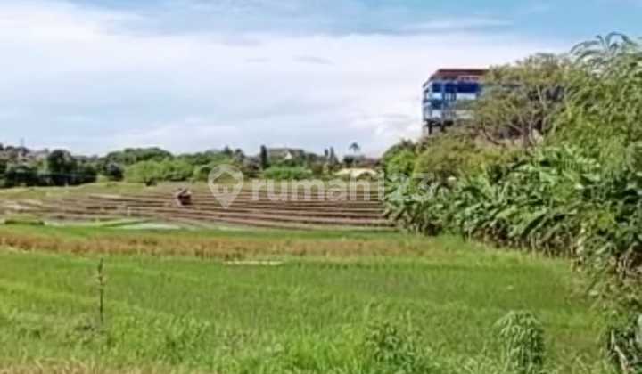 TANAH TERMURAH DI UMALAS BUMBAK VIEW SAWAH COCOK VILLA 9
