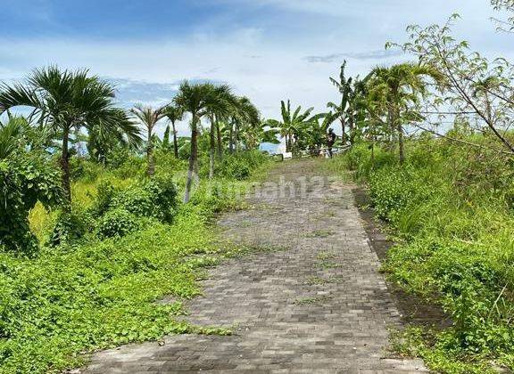 Tanah Lokasi Sangat Bagus Di Canggu Cocok Villa Komersil 1