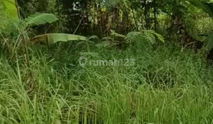 Tanah Los Sungai Super Murah Di Canggu Cocok Villa 1