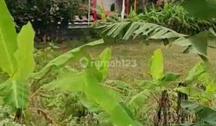 Tanah Los Sungai Super Murah Di Canggu Cocok Villa 2