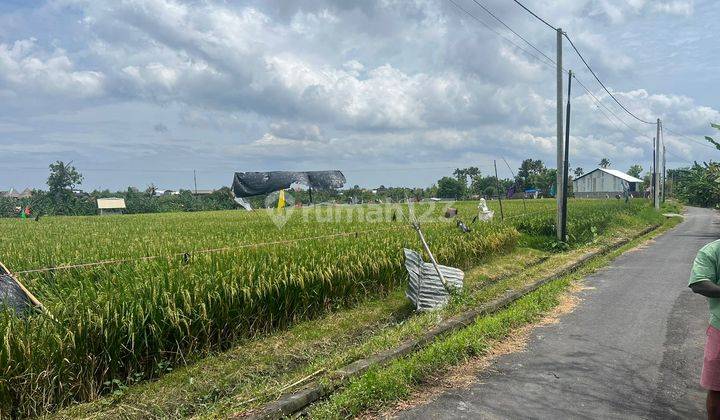 Tanah View Sawah Cantik Di Kerobokan Kelod Cocok Villa 1