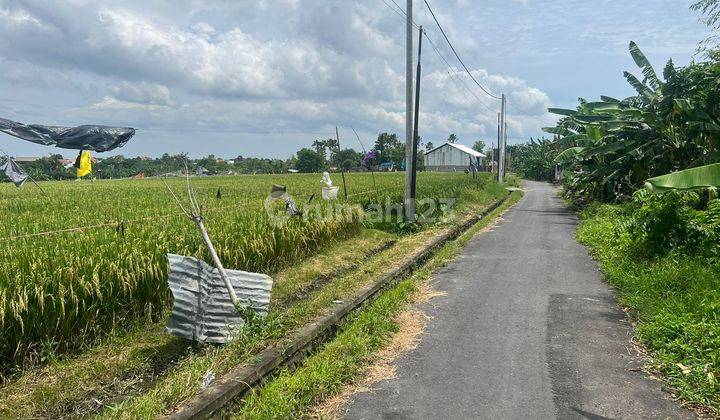 Tanah View Sawah Cantik Di Kerobokan Kelod Cocok Villa 2