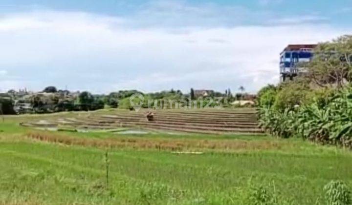 CHEAPEST LAND IN UMALAS BUMBAK BEAUTIFUL VIEW VILLA ENVIRONMENT 1