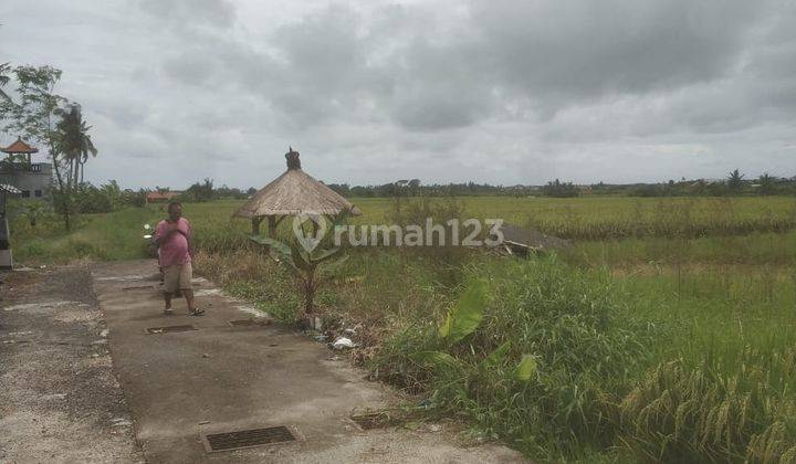 TANAH VIEW SAWAH CANTIK DI MUNGGU ARAH PANTAI 2