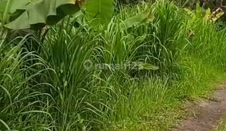 TANAH COCOK VILLA JALAN MOBIL SUASANA TENANG 6