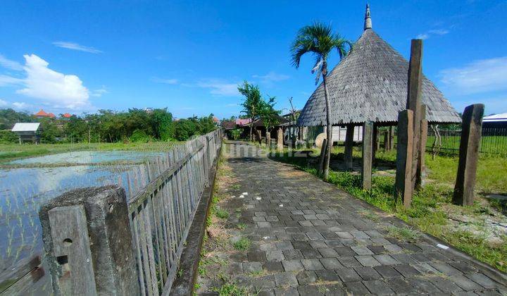 TANAH KERING SIAP BANGUN VIEW SAWAH LOKASI DEKAT SEMINYAK 1