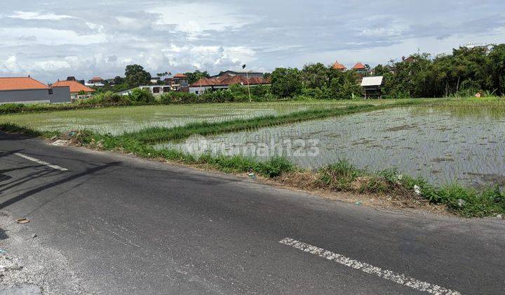 TANAH KERING SIAP BANGUN VIEW SAWAH LOKASI DEKAT SEMINYAK 2