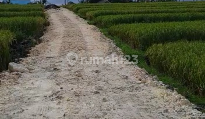 TANAH DENGAN VIEW SUPER CANTIK DI CANGGU AREA