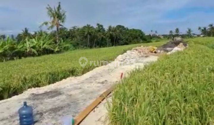 TANAH DENGAN VIEW SUPER CANTIK DI CANGGU AREA