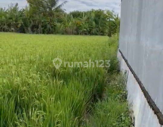 TANAH MURAH VIEW SAWAH DI UMALAS 1 COCOK VILLA 