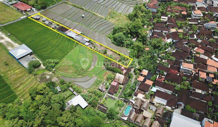 TANAH SIAP BANGUN VILLA DI KEROBOKAN VIEW SAWAH 9