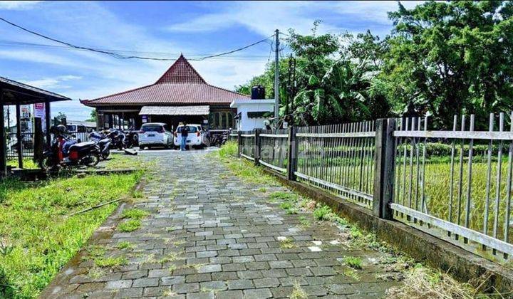 TANAH SIAP BANGUN VILLA DI KEROBOKAN VIEW SAWAH 10