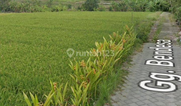 TANAH LOKASI BAGUS COCOK VILLA VIEW SAWAH  10