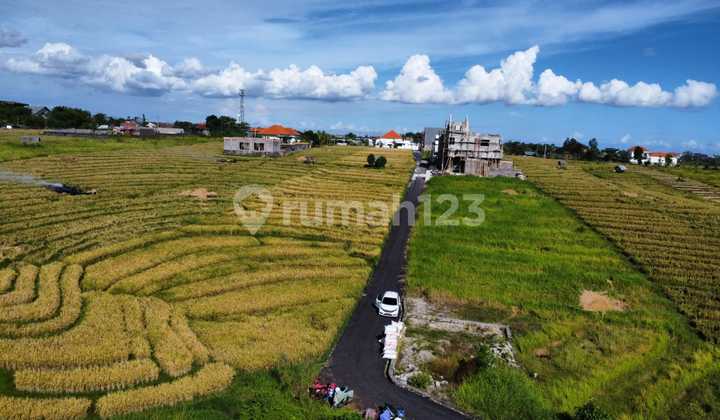 TANAH HARGA MURAH DI SEMPOL PERERENAN SIAP BANGUN VILLA
