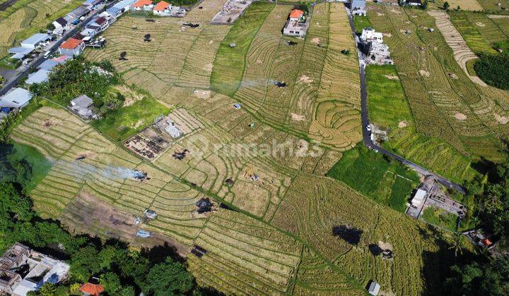 TANAH HARGA MURAH DI SEMPOL PERERENAN SIAP BANGUN VILLA