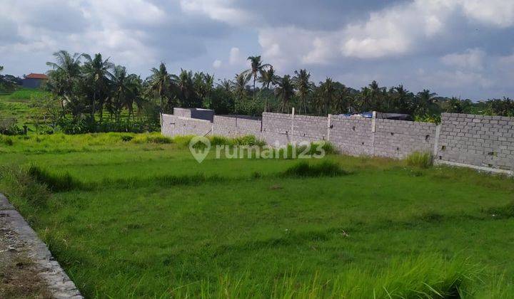 TANAH PREMIUM PINGGIR JALAN UTAMA PANTAI LAMA PERERENAN