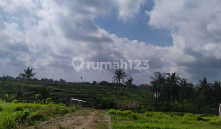 TANAH PREMIUM PINGGIR JALAN UTAMA PANTAI LAMA PERERENAN