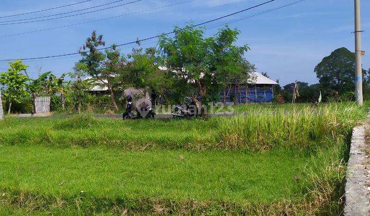 TANAH PREMIUM PINGGIR JALAN UTAMA PANTAI LAMA PERERENAN