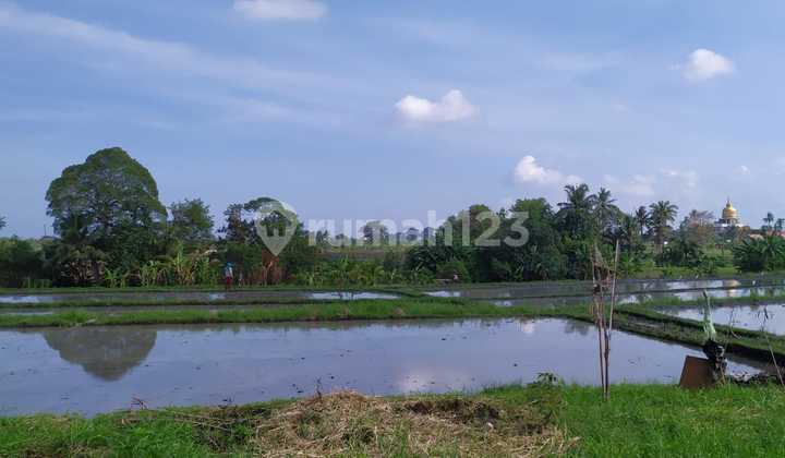TANAH PREMIUM PINGGIR JALAN UTAMA PANTAI LAMA PERERENAN