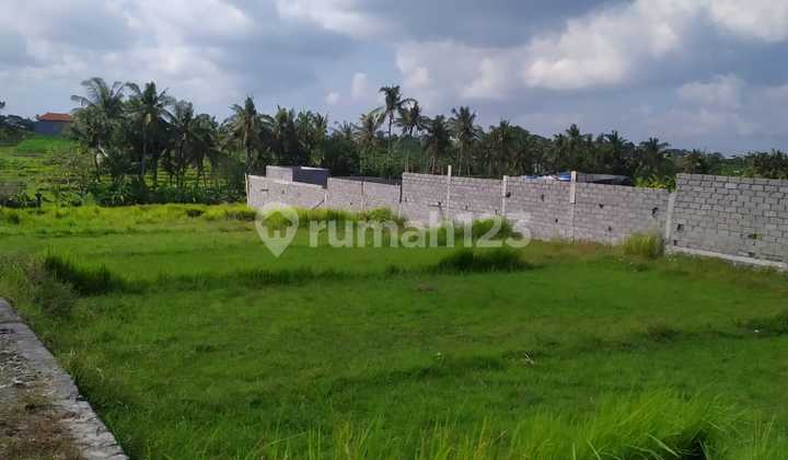 TANAH PREMIUM PINGGIR JALAN UTAMA PANTAI LAMA PERERENAN