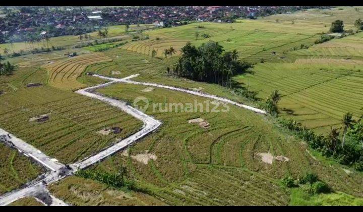 TANAH KAVLING UNTUK VILLA VIEW CANTIK DI CANGGU AREA 1