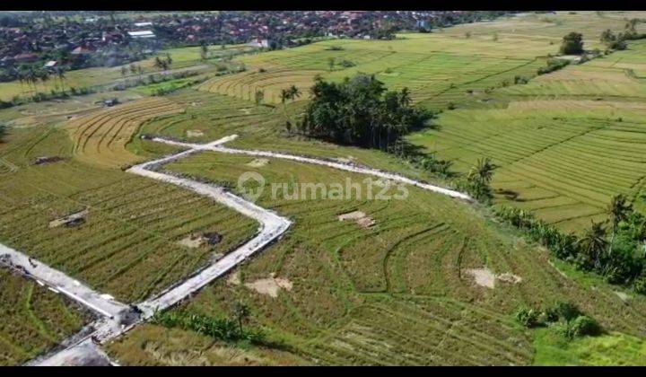 TANAH KAVLING UNTUK VILLA VIEW CANTIK DI CANGGU AREA 2