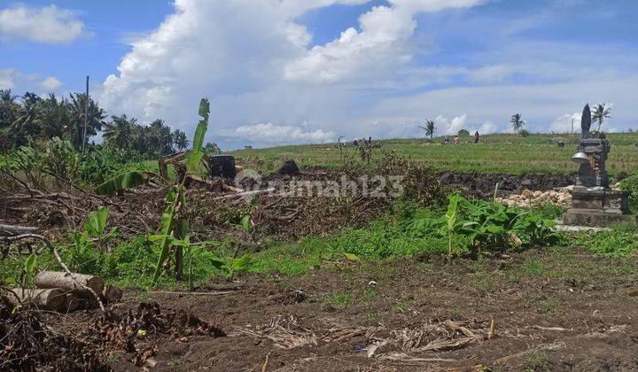 TANAH POSISI BAGUS COCOK VILLA VIEW SAWAH 1