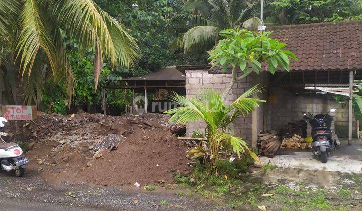 TANAH SEWA COCOK VILLA DI UBUD UKURAN KECIL 2