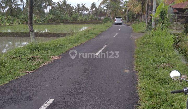 LAND SUITABLE FOR VILLA RESTAURANT OR OTHER BUSINESS IN UBUD 2