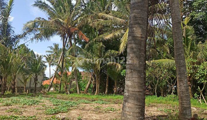 TANAH LOS SUNGAI DAN VIEW SAWAH CANTIK DI PANTAI RANGKAN 1