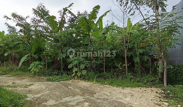 Tanah Kecil Premium, Cocok untuk Villa/Pariwisata Petitenget 1