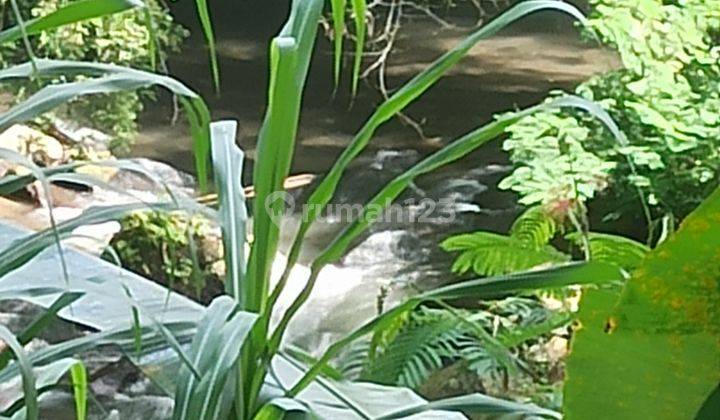 TANAH SEWA LOS SUNGAI TERBAIK DI BALI COCOK VILLA 1