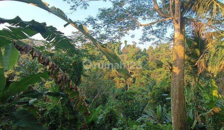 TANAH SEWA VIEW SANGAT CANTIK DI PEJENG SIAP BANGUN  2